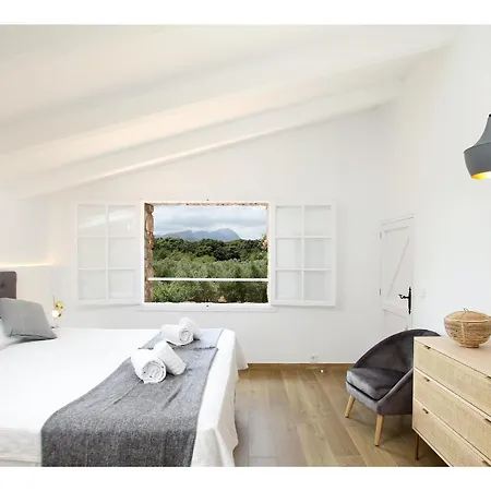 Encinas Mallorca Pollenca