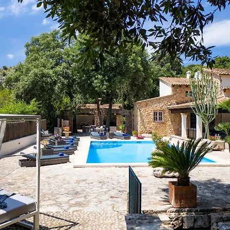 Encinas Mallorca * Pollenca